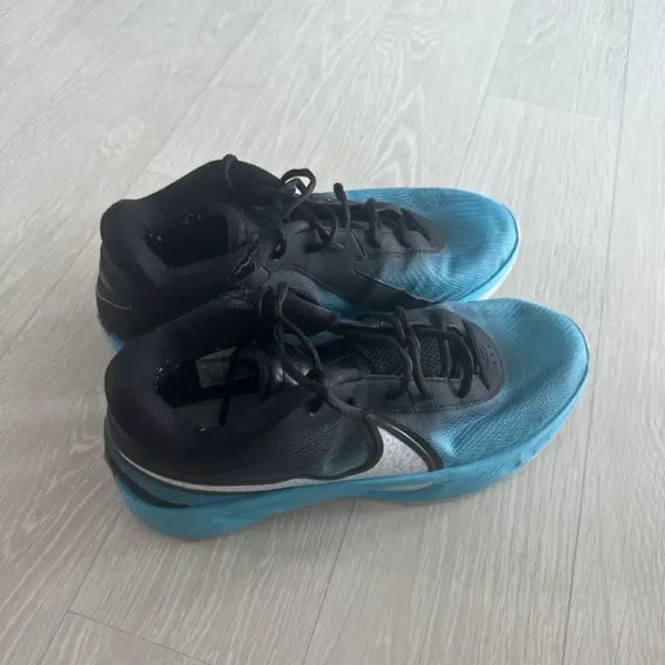 [BUNJANG] Zoom Freak 6 Basketball Shoes (Size 275) / 줌프릭6 275