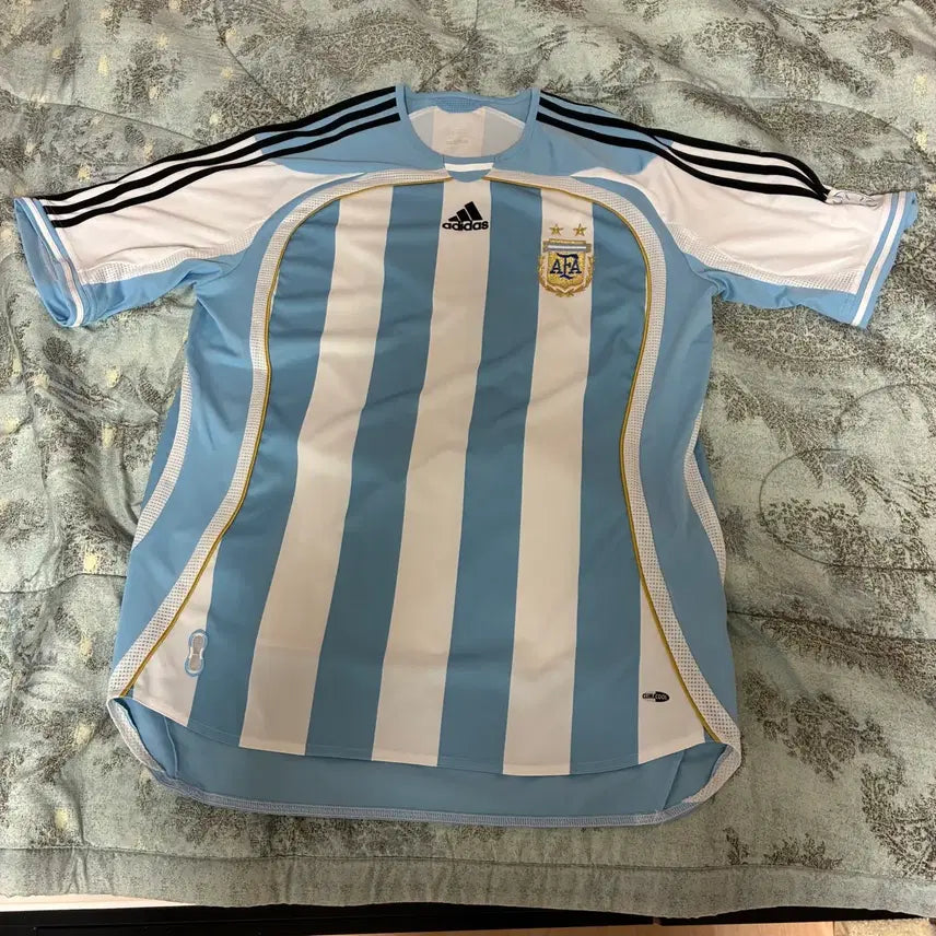 [BUNJANG] Argentina National Team 2006 Replica Jersey (Size L/XL) / 아르헨티나 국대 2006 리이슈 유니폼 실착 0회