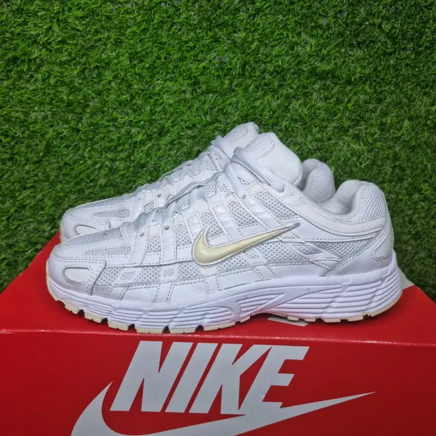 [BUNJANG] Nike P-6000 Sneakers / 나이키 P-6000 운동화 (250)