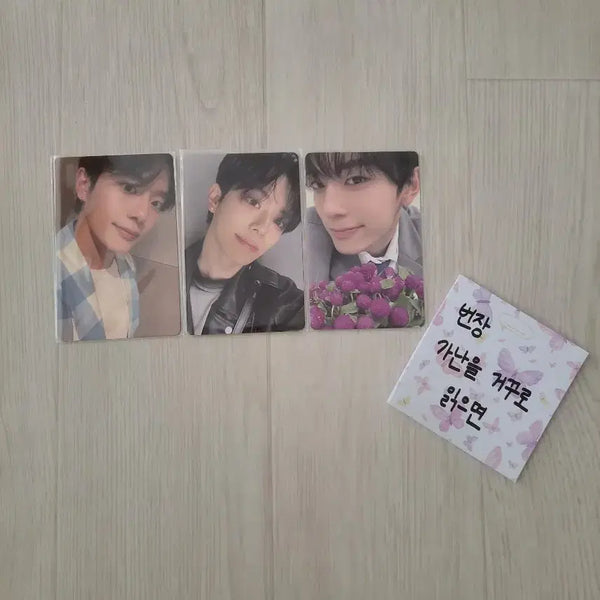 [BUNJANG] VERIVERY Boyz2Planet Shanghai Archive Exhibition Bundle Set Kangmin Photocard / [일괄] 베리베리 보플2 상하이 아카이브 전시회 팝업 유강민 포카 양도 판매