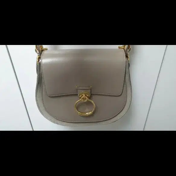 [BUNJANG] Chloé Tess Bag Motty Grey / 끌로에 테스백