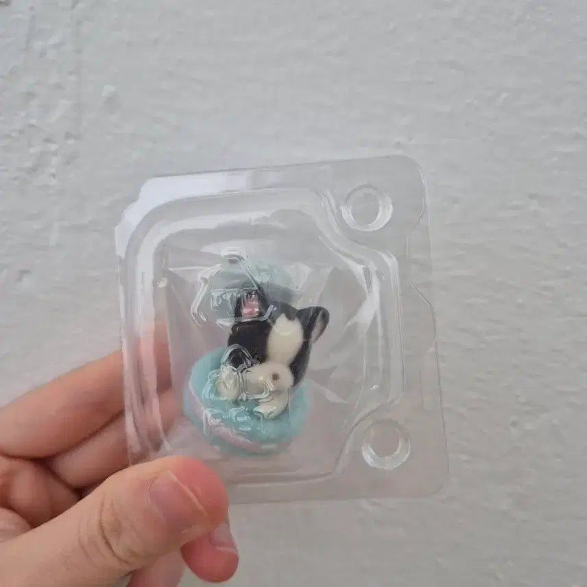 [BUNJANG] Sylvanian Families Happy Sweets Kuji Macaron Bulldog Newborn Sealed / 실바니안 해피 스위츠 쿠지 마카롱 불독 신생아 미개봉