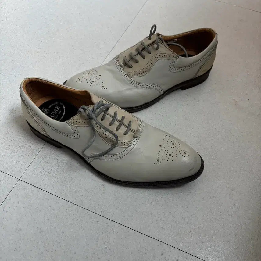 [BUNJANG] Alfredo Bannister Wingtip Shoes 245 / 알프레도 바니스터 윙팁 구두 245