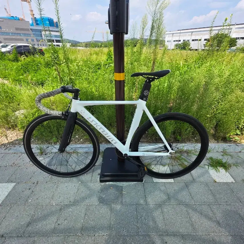[BUNJANG] Unknown Minority Pixie Carbon Fork Bicycle / 언노운 마이너리티 판/교