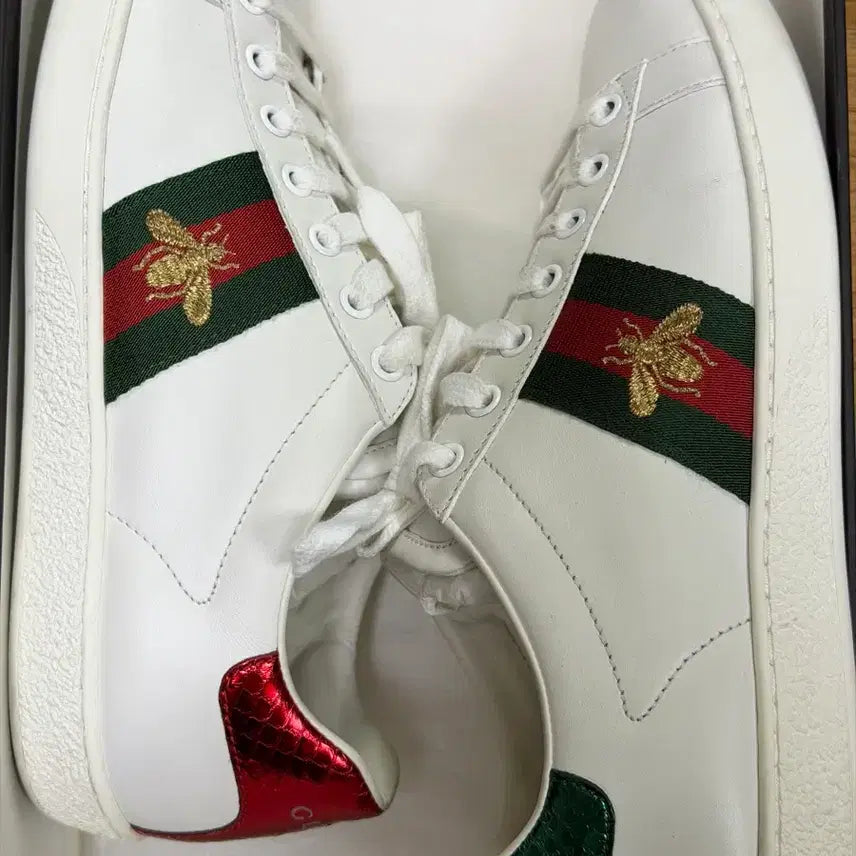[BUNJANG] Gucci Ace Embroidered Bee Sneakers / 구찌 에이스 꿀벌 자수 스니커즈 250
