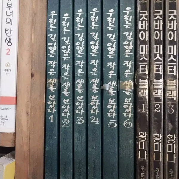 [BUNJANG] We Saw a Lost Little Bird Complete Set (Volumes 1-6) by Hwang Mi-na / 우리는길잃은작은새를보았다1-6.황미나작