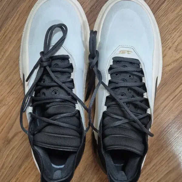 [BUNJANG] Way of Wade WOW 11 Basketball Shoes Size 275 / wow 11 275 웨이오브웨이드 와우