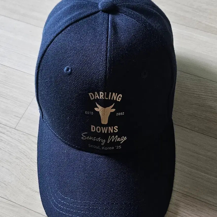 [BUNJANG] DARLING DOWNS Navy Big Size Baseball Cap / DARLING DOWNS 볼캡 네이비 빅사이즈 모자