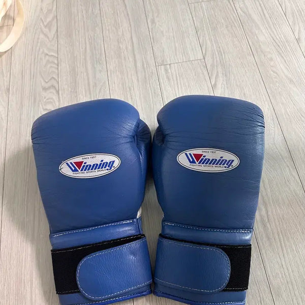 [BUNJANG] Winning 14oz Boxing Gloves Blue / 위닝 14온스 글러브 팔아요