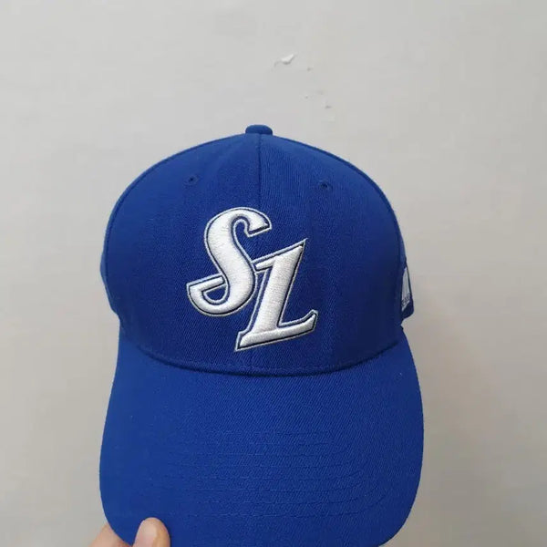 [BUNJANG] Samsung Lions Beanpole Cap Baseball Cap / 삼성라이온즈 빈폴 모자 볼캡