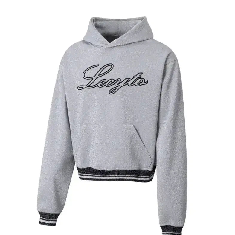 [BUNJANG] Lecyco Silver Hoodie / 레시토 Lecyco 후드티 실버