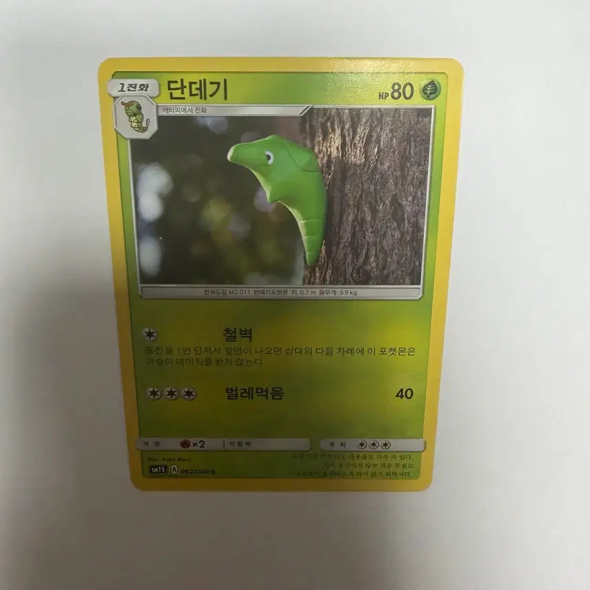 [BUNJANG] Pokemon Card Caterpillar / 단데기 포켓몬카드