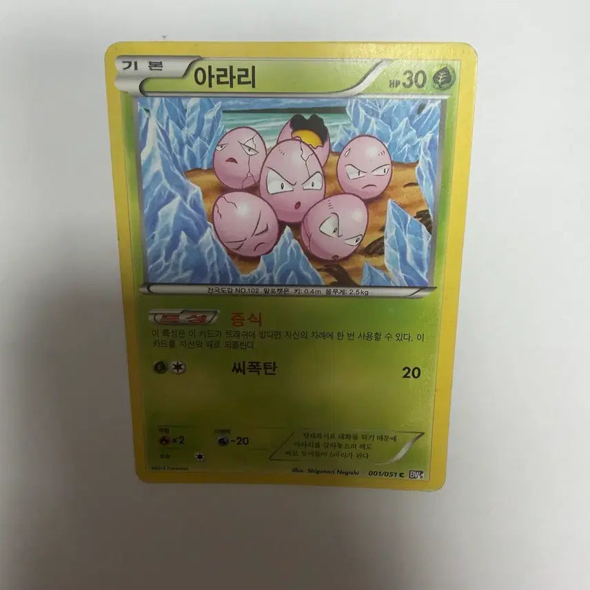 [BUNJANG] Arari Pokemon Cards / 아라리 포켓몬카드