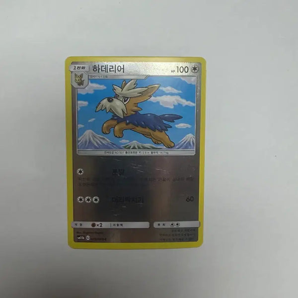 [BUNJANG] Haderia Holographic Pokemon Card / 하데리어 홀로그램 포켓몬카드