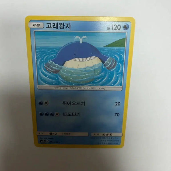 [BUNJANG] Pokemon Card Whale Prince / 고래왕자 포켓몬카드