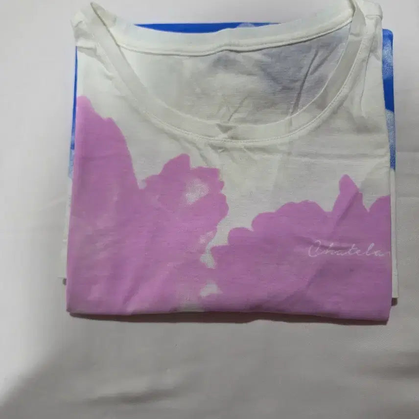 [BUNJANG] L Watercolor Dye Short Sleeve T-Shirt / L 수채화 염색 반팔 티셔츠