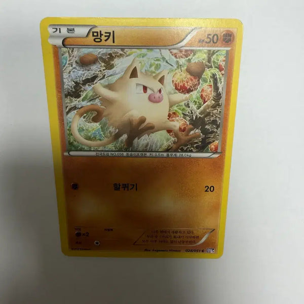 [BUNJANG] Pokemon Card (Manky) / 망키 포켓몬카드