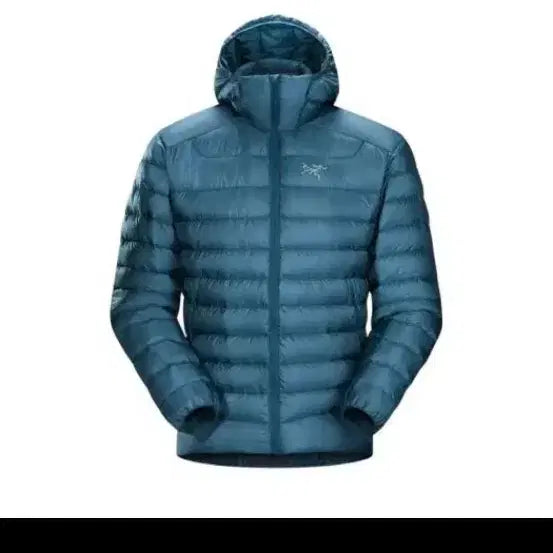 [BUNJANG] Arc'teryx Cerium Puffer Jacket / 아크테릭스 세륨 포스필드 L