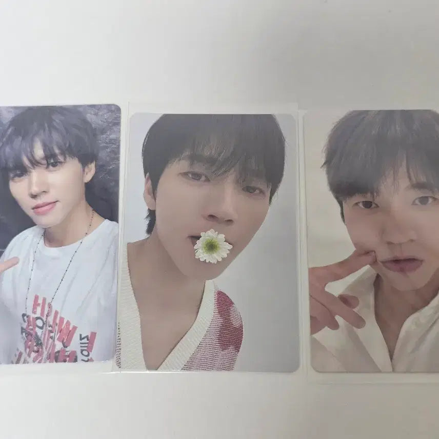 [BUNJANG] Nam Woo Hyun Official Photocard Bundle Set / 남우현 공방포카 일괄