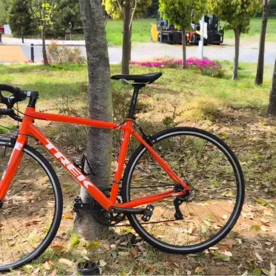 [BUNJANG] Trek 01Road Road Bicycle / 트렉 01로드