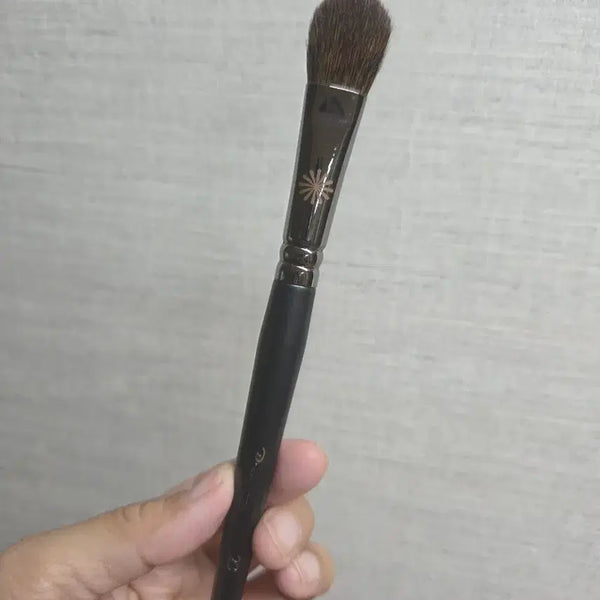 [BUNJANG] Picasso 23 Blusher Brush / 피카소 23 블러셔브러쉬