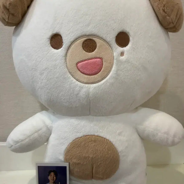 [BUNJANG] JYP JYP Multipack Photocard / 자쁘멀 돈
