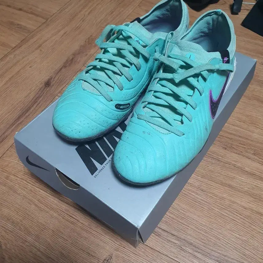 [BUNJANG] Nike Tiempo Legend 10 Pro TF Soccer Cleats (Size 255) / 나이키 티엠포 레전드10 프로 tf 255