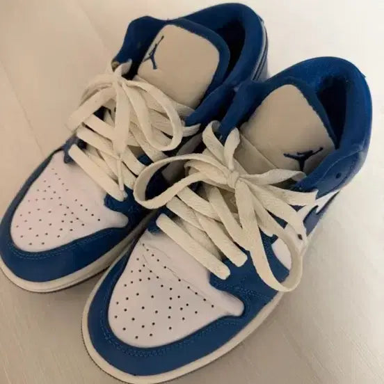 [BUNJANG] Nike Air Jordan 1 Low Blue / 나이키 에어 조던 1 로우 블루 240
