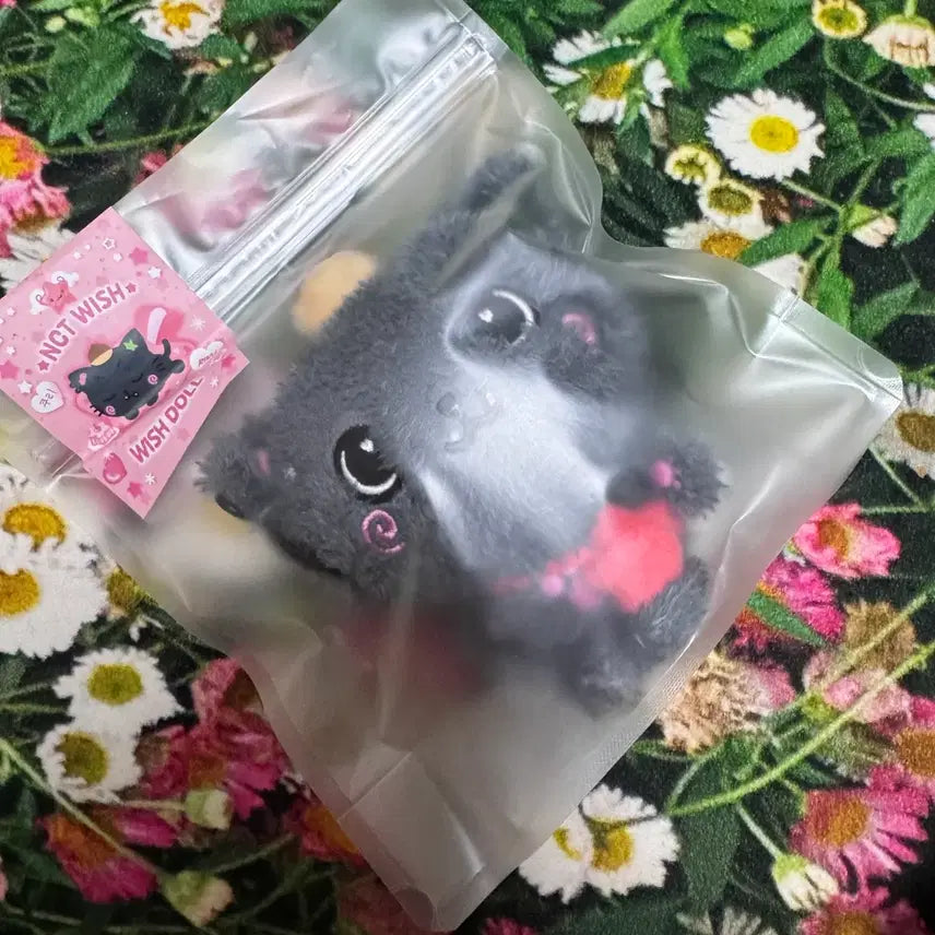 [BUNJANG] NCT WISH Wish Doll Kuri Riku / 엔시티위시 위시돌 쿠리 리쿠