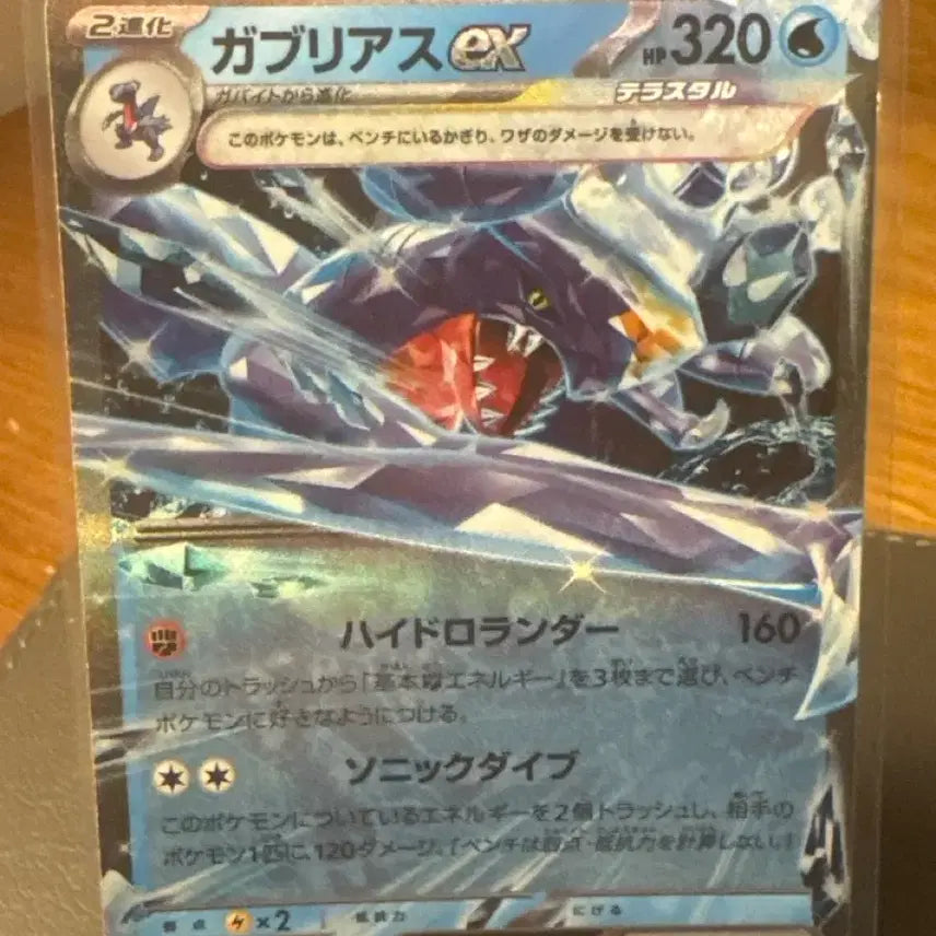 [BUNJANG] Pokemon Card Garchomp EX / [포켓몬카드]한카리아스 EX 카드