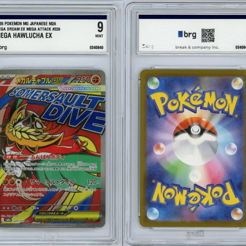 [BUNJANG] Megurochabbu Pokémon Card / 일판 메가루차불 ma brg9 포켓몬카드