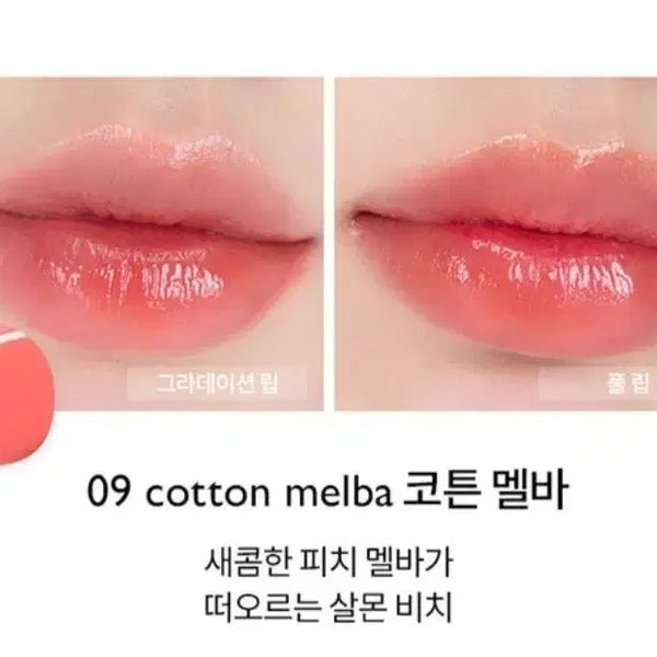 [BUNJANG] Rom&nd Dewyful Water Tint (Cotton Melba) / 롬앤 듀이풀 워터틴트 새상품. (코튼멜바)