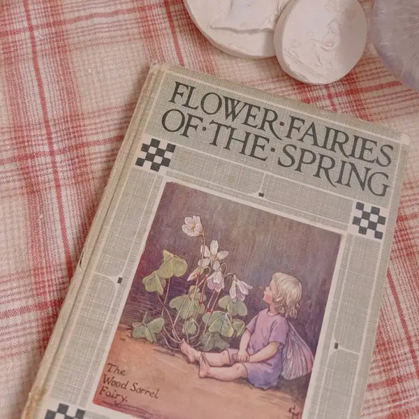 [BUNJANG] Antique Children's Book: Flower Fairies of The Spring / 고전/빈티지 플라워 페어리즈 오브 더 스프링 앤틱 동화책