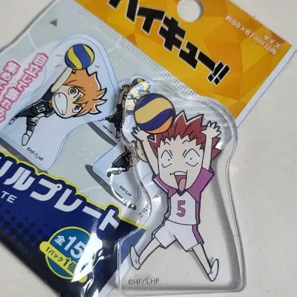[BUNJANG] Daiso Haikyuu!! Shiratorizawa Academy Tendo Satori Acrylic Stand / 다이소 하이큐 랜덤 아크릴 시라토리자와 학원  텐도 사토리