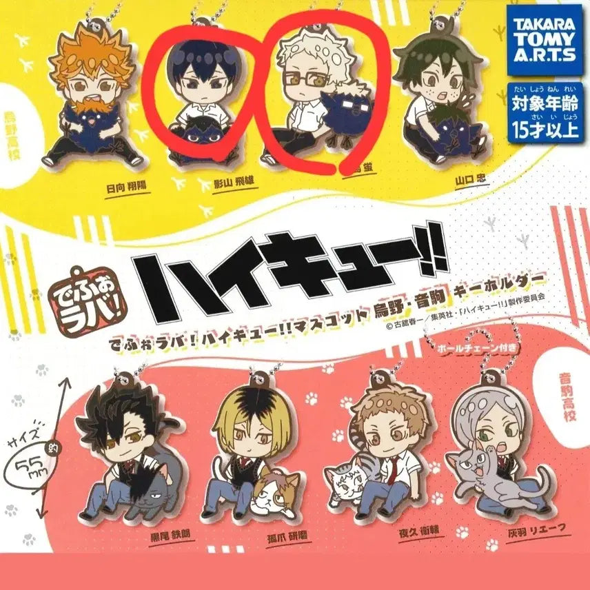 [BUNJANG] Haikyuu!! Karasuno Keyring / 하이큐 데포러버 카라스노 키링