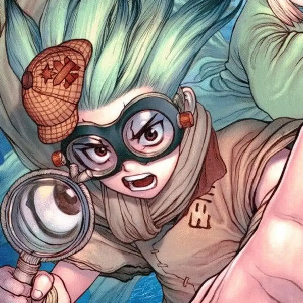 [BUNJANG] Dr. Stone Manga English Edition / 닥터스톤 만화책 영미판 구함