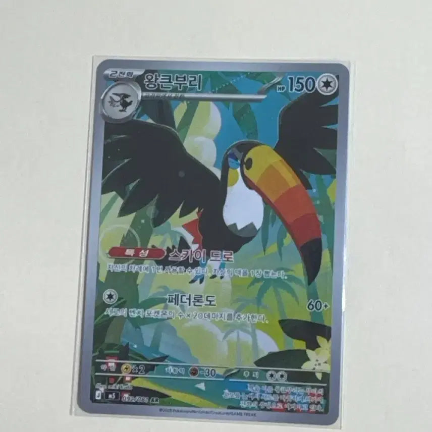 [BUNJANG] King Big Beak AR / 왕큰부리 AR