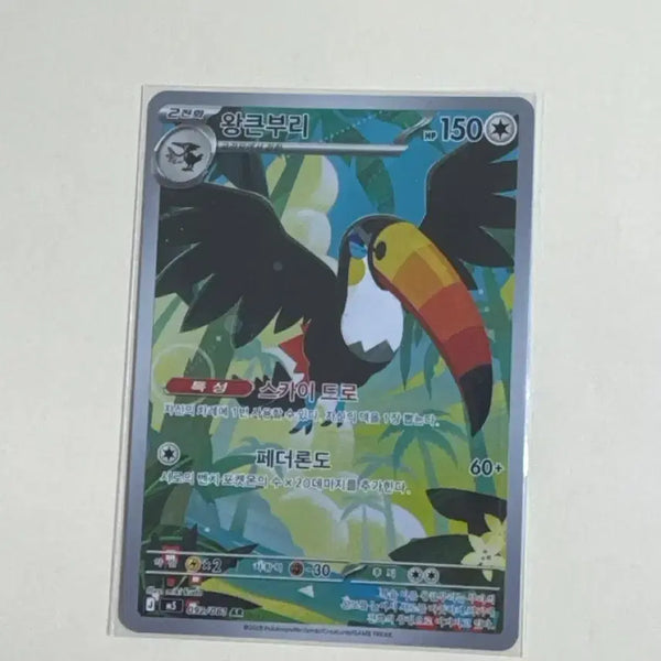 [BUNJANG] King Big Beak AR / 왕큰부리 AR