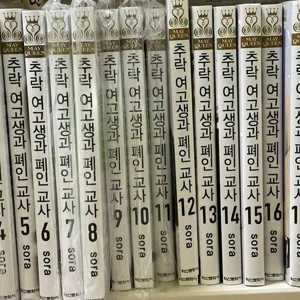 [BUNJANG] Fall High School Girl and Lonely Teacher Complete Set / 추락 여고생과 폐인교사 전권