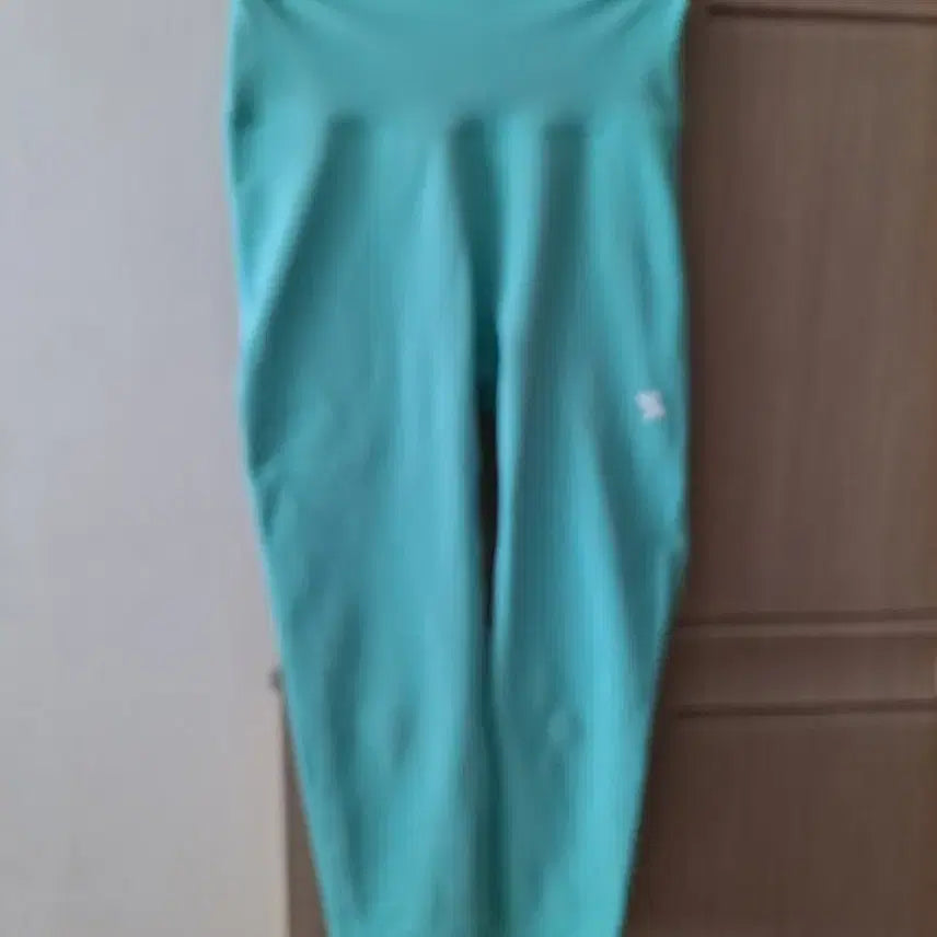 [BUNJANG] XEXYMIX L Leggings / 젝시믹스 L