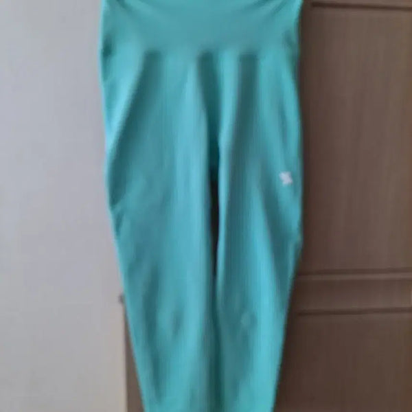 [BUNJANG] XEXYMIX L Leggings / 젝시믹스 L