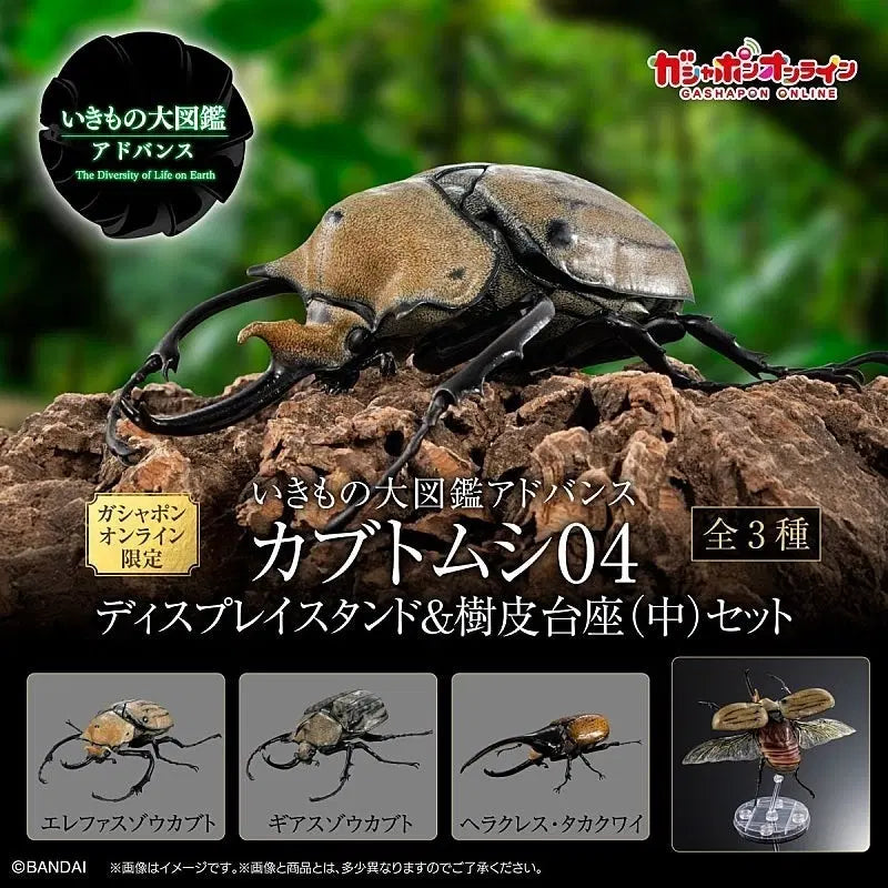 [BUNJANG] Bandai Creature Encyclopedia Advance Rhinoceros Beetle Vol. 4 Full Set / 반다이 생물대도감 어드밴스 장수풍뎅이 4탄