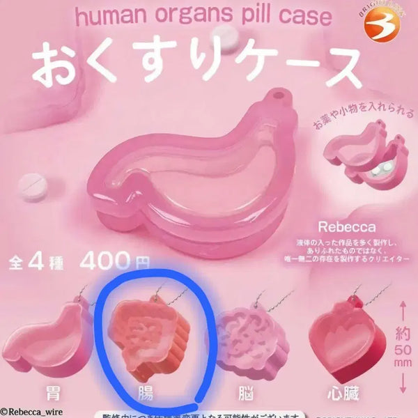 [BUNJANG] Okusuri Organ-Shaped Pill Case Gacha (Large Intestine) / 오쿠스리 케이스 장기 약통 가챠