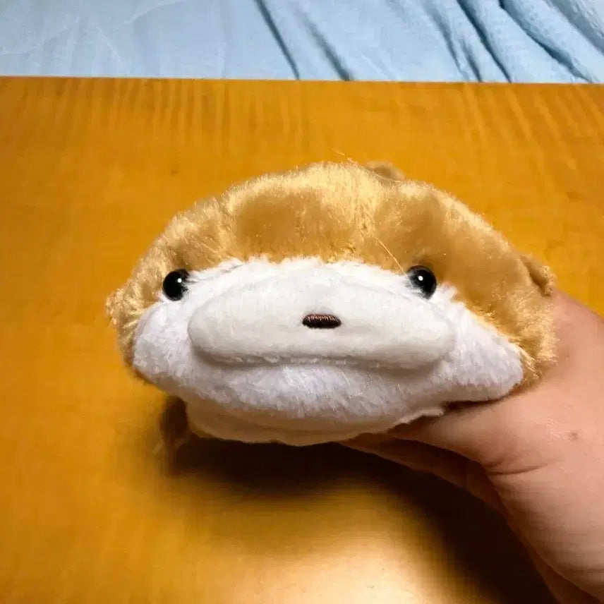 [BUNJANG] Otter Plush Pencil Case / 수달 인형  봉제 필통  판매