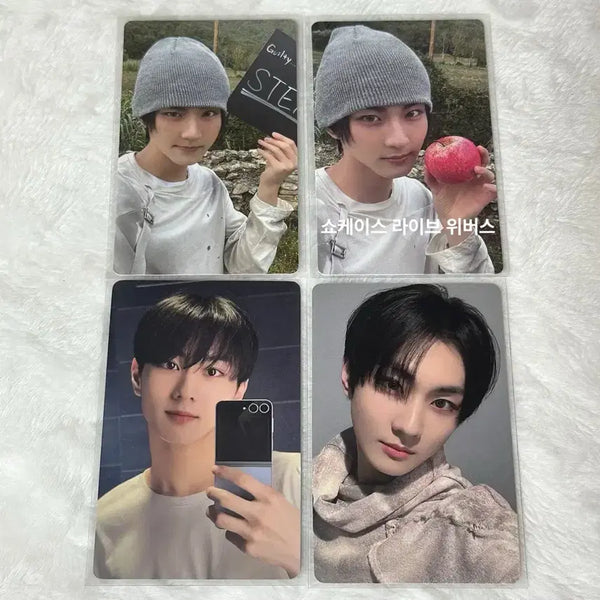 [BUNJANG] ENHYPEN Jungwon Bundle Set Photocard / 엔하이픈 정원 포카 일괄 양도