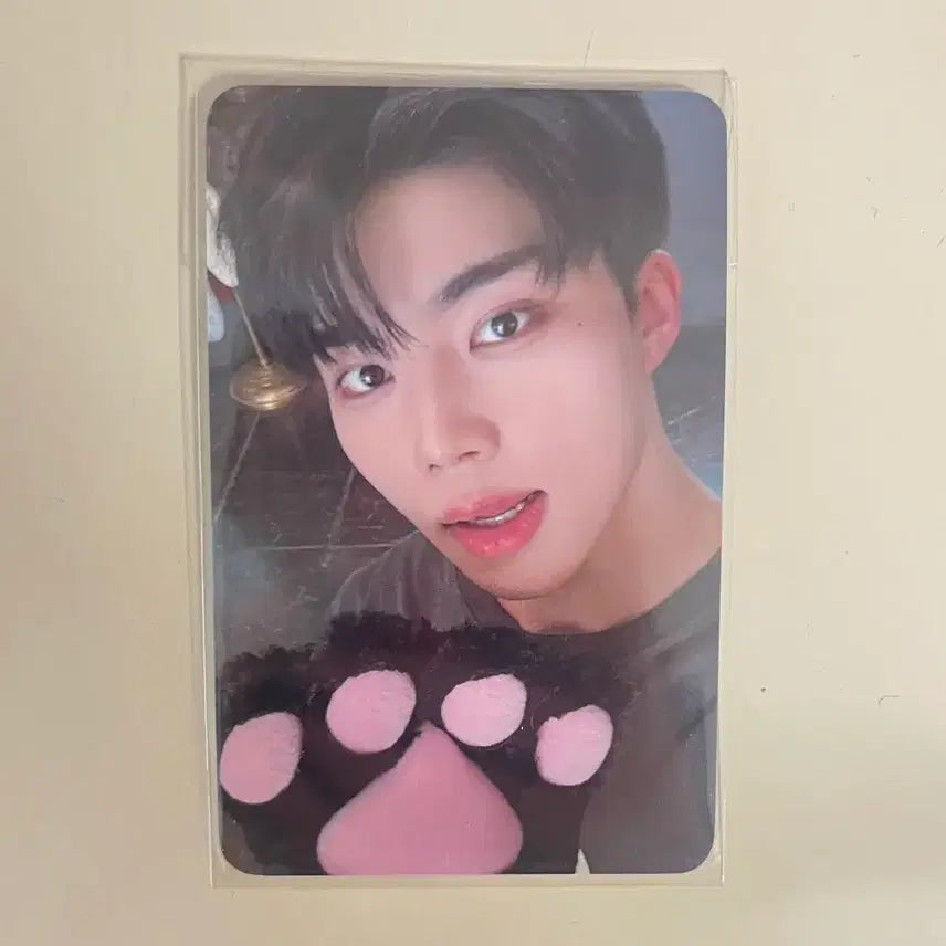 [BUNJANG] ZEROBASEONE Park Gunwook World Tour Here & Now Zerose Zone Photocard / 제로베이스원 박건욱 월드투어 here&now 제로즈존 포카