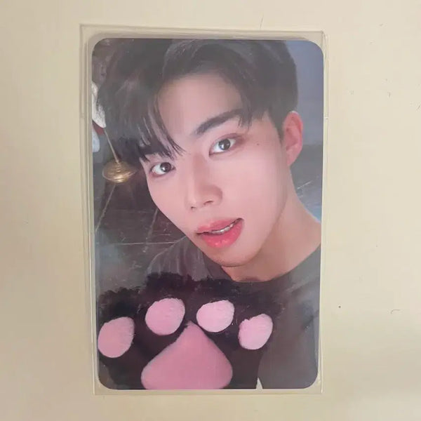 [BUNJANG] ZEROBASEONE Park Gunwook World Tour Here & Now Zerose Zone Photocard / 제로베이스원 박건욱 월드투어 here&now 제로즈존 포카
