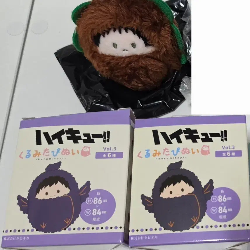 [BUNJANG] Haikyu!! Tapinui Iwaizumi Bundle Set / 하이큐 타피누이 이와이즈미 2개 일괄