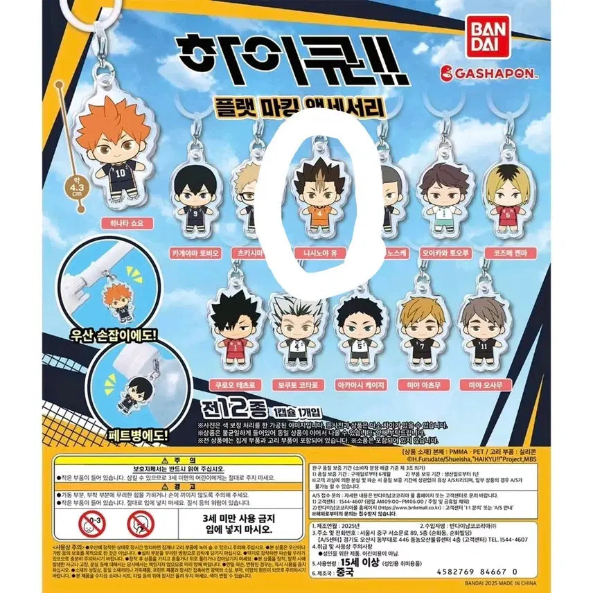 [BUNJANG] Haikyuu!! Flat Mejilushi Nishinoya (Sealed) / [하이큐] 플랫 메지루시 (니시노야)