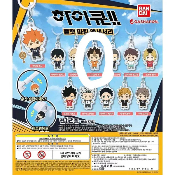 [BUNJANG] Haikyuu!! Flat Mejilushi Nishinoya (Sealed) / [하이큐] 플랫 메지루시 (니시노야)